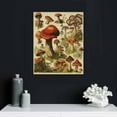 thumbnail image 5 of JEUXUS Vintage Mushroom Poster, Framed Ready to Hang, Rustic Style Mushroom Canvas Wall Art Decor Aesthetic Poster for Women Girls Bedroom Bathroom Living Room Wall Art Decor, 5 of 5