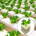 thumbnail image 4 of 100 tapones de cultivo para germinación de plantas (25 x 25 x 25 mm), 4 of 5