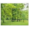 thumbnail image 1 of Trees Forest Ceramic Tile Mural Kitchen Backsplash Bathroom Shower, 401707-L54, 1 of 3