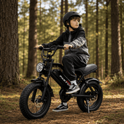 1000W Electric Bike for Teens&adults, UL2849 Certified Fat Tire E-Bike, 25MPH 48V 15.6Ah Mountain Bike , Cool off-Road Electric Bike Gift for Teenage Riders