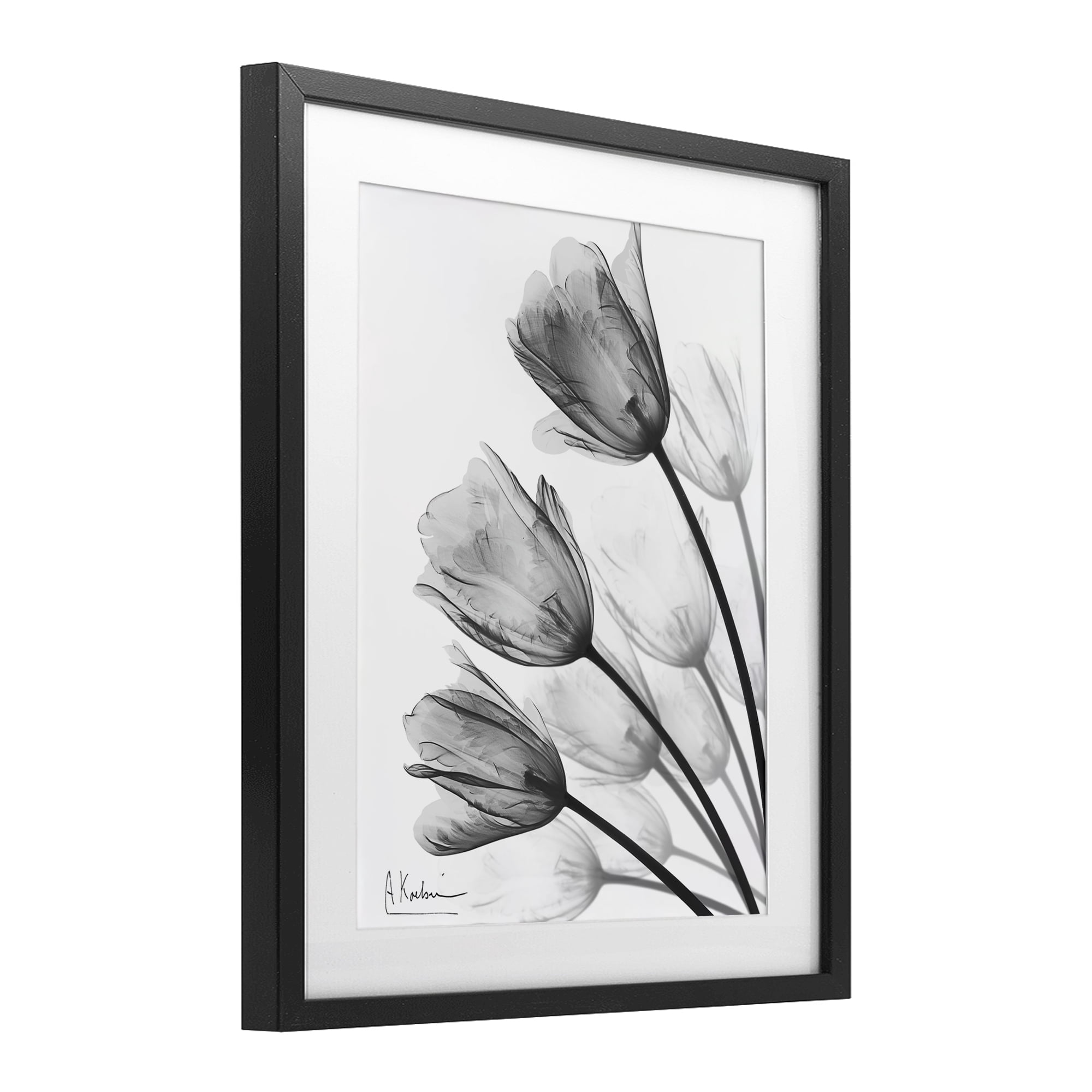 Stupell Industries Minimalist Tulip Fan Black Framed Print Under Glass, design by Albert Koetsier