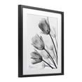 thumbnail image 2 of Stupell Industries Contemporary Minimalist Tulip Fan Black Framed Print Under Glass, 17 x 21, by Albert Koetsier, 2 of 8
