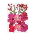thumbnail image 3 of Zeceouar Colorful Natural Dried Flowers and Embossed Decorative Set, 3 of 5