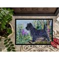 thumbnail image 3 of Carolines Treasures SS8665JMAT Cairn Terrier Doormat 24x36 36"L x 24"W multicolor, 3 of 4