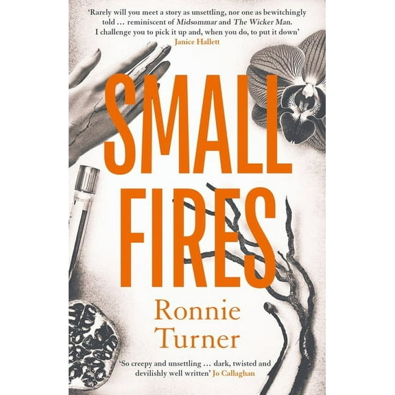 Small Fires, (Paperback)