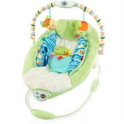Taggies Soothe-Me-Softly Bouncer