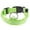 Green, variant on Glow in The Dark Nylon Dog Collar with LED Light for Nighttime and Visibility