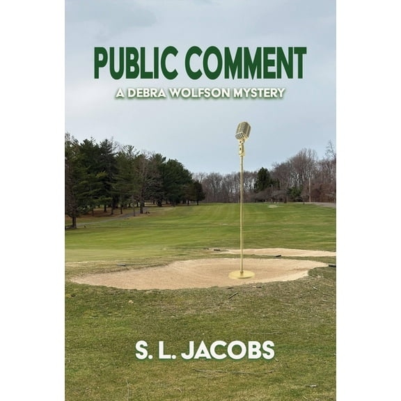 Public Comment: A Debra Wolfson Mystery, (Paperback)