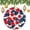 Pattern, variant on Christmas Ornament Red Hibiscus Flower Navy Blue Palm Leaf Double-Sided Ceramics Ornaments Summer Tropical Leaves Christmas Xmas Tree Ornament Decoration Hanging Pendant Decor Ornament Xmas Present