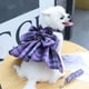 thumbnail image 4 of Falda a cuadros JK para mascotas, correa para el pecho, cuerda de tracción, chaleco para perros y gatos, ropa, 1 ud., 4 of 5