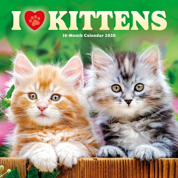 Carousel Calendars, Kittens I Love 2026 Wall Calendar