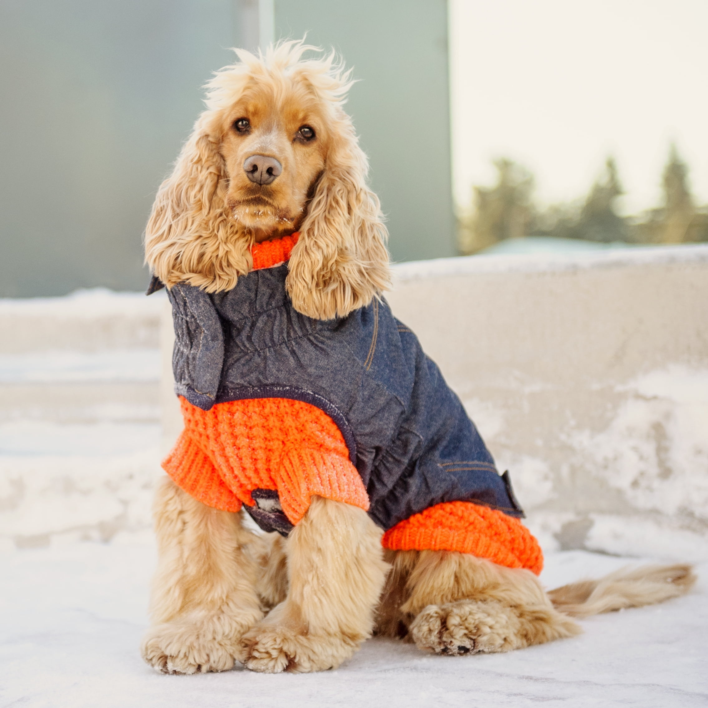 GF PET Denim Dog Jacket Elastofit Apparel for Small Medium Large Dogs Pets, XL