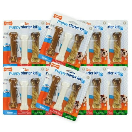 nylabone puppy starter kit nylabone puppy starter kit walmart nylabone puppy starter kit nylabone puppy starter kit walmart