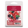 thumbnail image 1 of ScentSationals Scented Wax Cubes - Juicy, 1 of 4