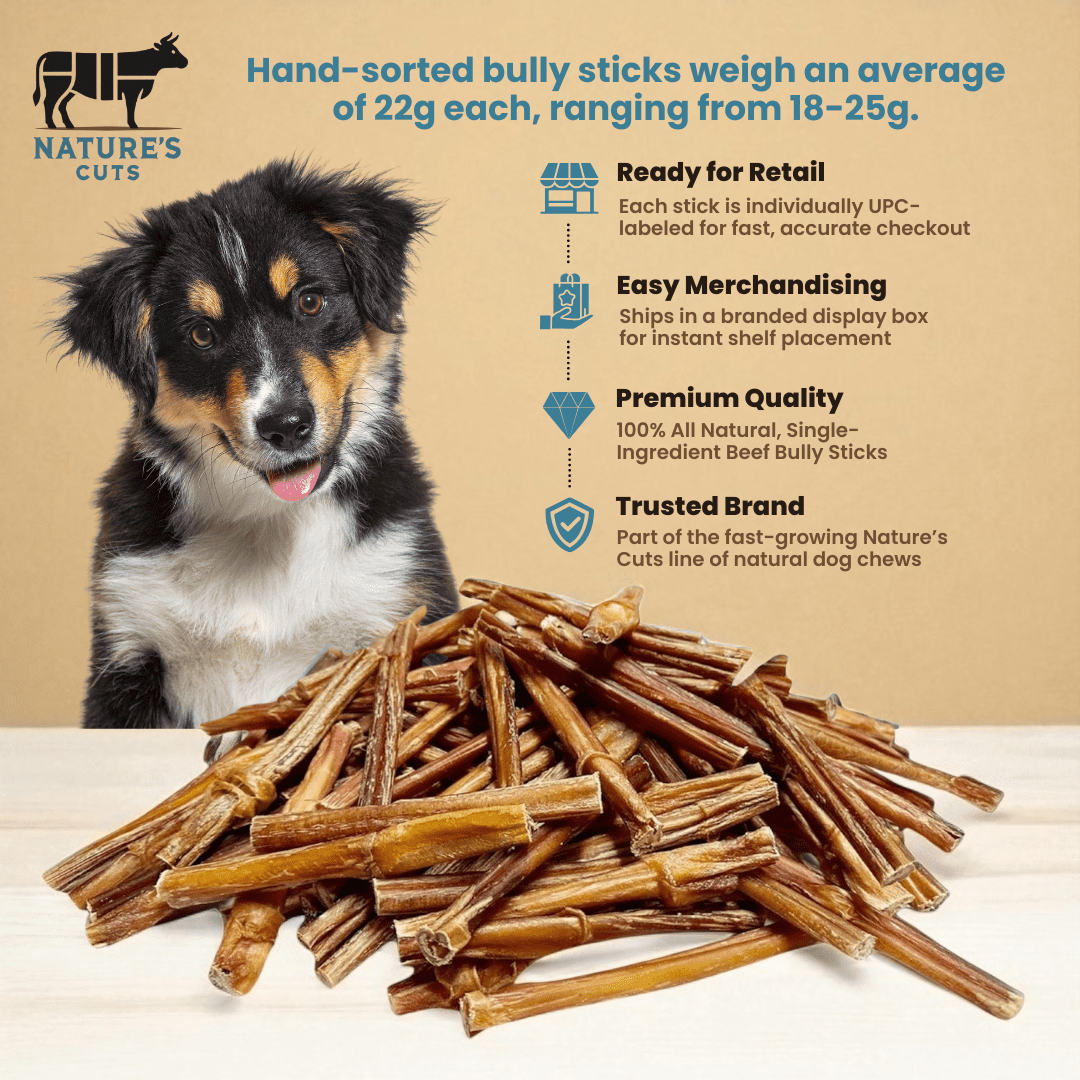 6" Standard Bully Sticks Display Box (100 ct) with Individual UPC Tags - 100% All Natural Beef