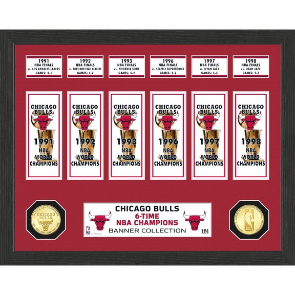 Highland Mint Chicago Bulls 15" x 12" Banner Bronze Coin Photo Mint