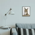 thumbnail image 5 of Stupell Industries Baby Donkey Portrait Adorable Farm Animal Black Framed, 24 x 30, Design by George Dyachenko, 5 of 5