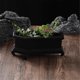 thumbnail image 5 of Coffin Mini Flower Pot,Succulent Plant Decoration Stand,Desktop Decorative Flower Pot Ornaments, 5 of 5