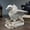 Vulture, variant on 70cm Halloween Skeleton Prop, Skeleton Halloween Decoration Figurine, Skull Hand Model Decor