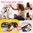 thumbnail image 3 of Kit De Juguetes Rosa Para Perros: Antiestrés + Interactivos Xtellar rosa, 3 of 4