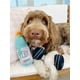 thumbnail image 5 of Juguetes de Fitness para Perros Mancuernas Divertidas Paquete de 2, 5 of 7