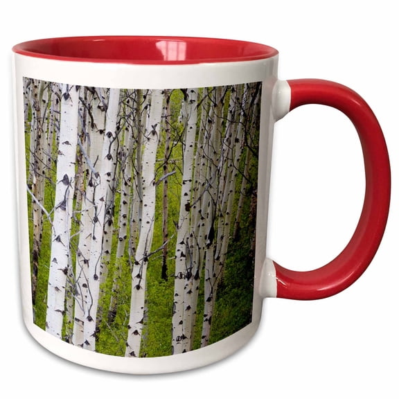 3drose, Grove of Aspen Trees Near East Glacier Montana - Us27 Cha0803 - Chuck Haney, 11oz Two-tone Red Mug