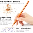 thumbnail image 5 of Colored Pencils Bulk, Shuttle Art 408 Pack Coloring Pencil Set Plus 20 Sharpeners, 12 Assorted Colors, Classroom Pack School Supplies, 5 of 9
