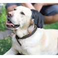 thumbnail image 5 of gant Poil De Chat, Chien(bleu Ciel) Gant De Massage Pour Animaux Parfait Pour Les Chiens Et Chats Pour Cheveux Longs Et Courts, 5 of 5