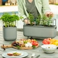 thumbnail image 3 of Vego Garden Mini Planter Box with Trellis Self-Watering Raised Garden Bed for Climbing Vegetables Plants Cage - Fog Gray, 3 of 8