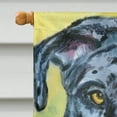 thumbnail image 3 of Carolines Treasures 7306CHF Grande Taille de la Maison Drapeau Apollo, 3 of 4