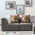 thumbnail image 3 of Nawypu  Animals Cat Kitten Dog Golden Retriever Puppy Farmhouse Pillow Cover Decorative Square Throw Pillow Cover for Sofa Couch Decoration 2pc, 3 of 6