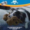 thumbnail image 3 of Juguete de Comportamiento HuggiePup de Pets Know Best Chocolate con Latido y Calentador para Entrena, 3 of 6