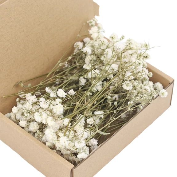 50pcs Dried Flowers Baby Breath Flowers Bouquet Artificial Bulk Mini Dry Flowers Natural Gypsophila Branches Valentines Wedding DIY Home Table Decor Thanksgiving Spring Summer Autumn Decoration