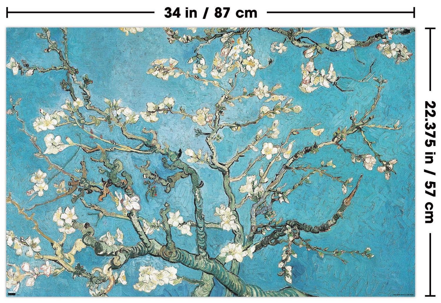 Branches d'amandier en fleurs de Vincent van Gogh