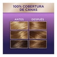 thumbnail image 3 of Tinte para cabello Koleston Permanente 63 rubio oscuro dorado ocaso, 3 of 4