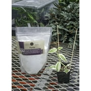 Joshs Frogs Perlite (1 quart)