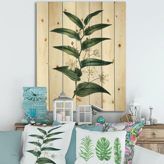 Designart 'Little White Flowers With Ancient Plant' Farmhouse Print on Natural Pine Wood