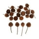 thumbnail image 4 of 2x 50 Piezas Flores Naturales Prensadas y Secas para Decoración DIY Artesanías de Decoración de Pared, 4 of 9