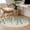 Light Beige Gray Blue Teal Green, variant on Area Rug for Living Room, Brown Eucalyptus Leaves Non-Slip Indoor Large Carpet for Bedroom/Dining Room, Spring Leaves Plants Country Beige Washable Low-Profile Floor Mat Runner Rugs - 2.7 x 5 Ft
