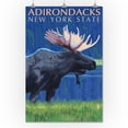 thumbnail image 3 of Adirondacks, New York, Moose at Night (24x36 Giclee Gallery Art Print, Vivid Textured Wall Decor), 3 of 3