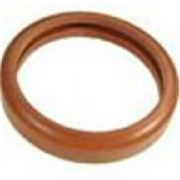 Pentair 05601-0014 Lens Gasket Replacement Sta-Rite SunLite Pool and Spa Light