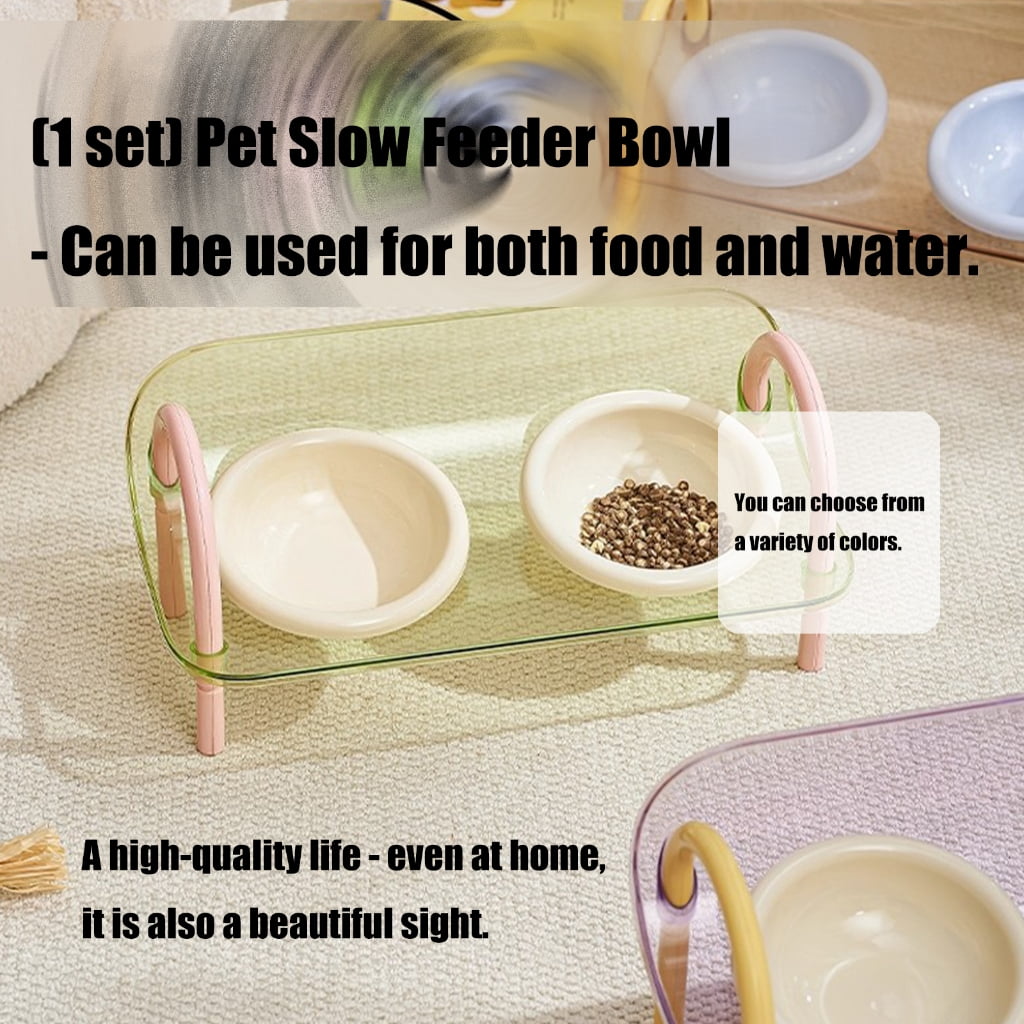 AntiSlip Elevated Pet Slow Feeder Double Bowl Detachable Design Feeding Watering Bowl For Small Breeds Cats Essential