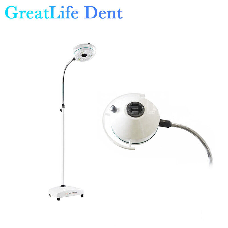 GreatLife Dent USA Stock 36W 12Led Mobile Examination Light Shadowless Surgical Medical Lamp Operating FDA