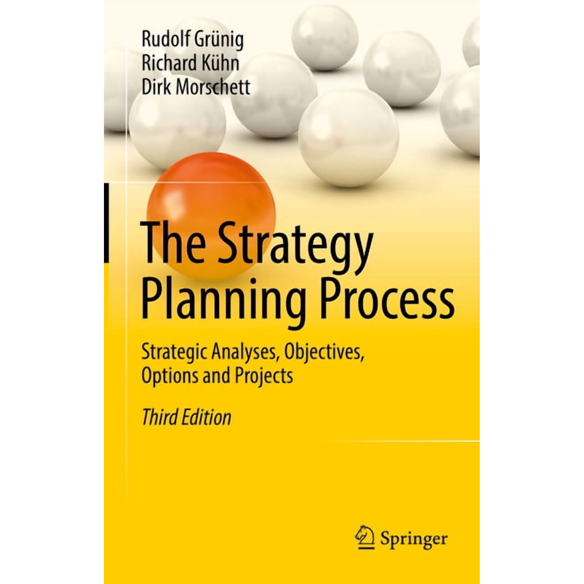 The Strategy Planning Process: Strategic Analyses Objectives Options and Projects (Hardcover)