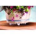 thumbnail image 4 of Soporte para plantas Bosmere Down Under ajustable de 12 pulgadas, transparente, 4 of 4