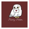 thumbnail image 3 of Playera Harry Potter para Niña, con Estampados de una Lechusa Rojo Talla 8, 3 of 4