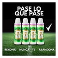 thumbnail image 2 of Pack de 4 Antitranspirantes Rexona Mujer en Aerosol Edición Limitada FIFA WC 2026 + Peluche, 2 of 4