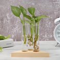 thumbnail image 5 of Jarrón de terrario, planta hidropónica, bonsái, marco de madera, maceta, decoración para el hogar y la Oficina, 5 of 5