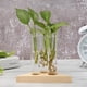 thumbnail image 5 of Jarrón de terrario, planta hidropónica, bonsái, marco de madera, maceta, decoración para el hogar y la Oficina, 5 of 5