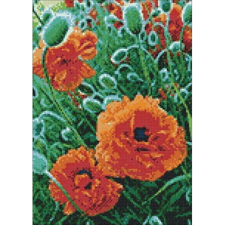 UPC: 4630033464423 | Poppie Field WD012 10.6 x 14.9 inches